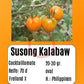 Susong Kalabaw DER TOMATENFLÜSTERER