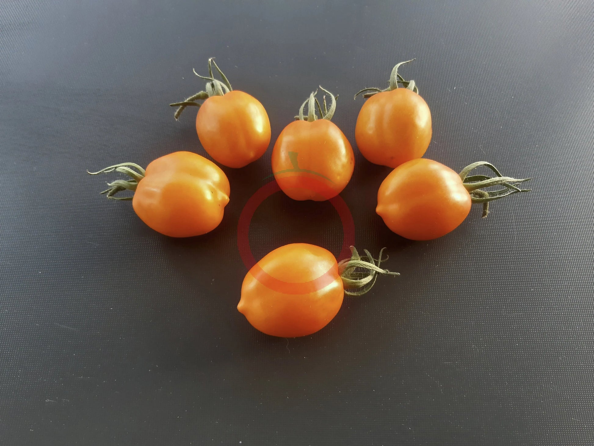 Susong Kalabaw DER TOMATENFLÜSTERER