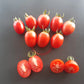 Swan´s Fluff DER TOMATENFLÜSTERER