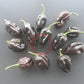 Swiss Chocolate DER TOMATENFLÜSTERER