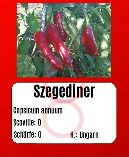 Szegediner DER TOMATENFLÜSTERER