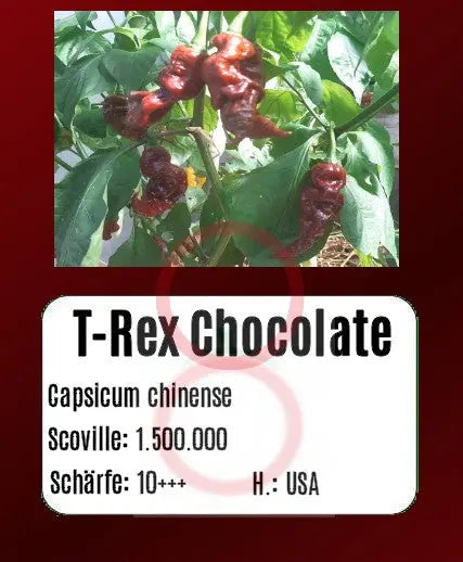 T-Rex Cocolate DER TOMATENFLÜSTERER