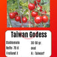 Taiwan Goddess DER TOMATENFLÜSTERER