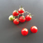 Taiwan Goddess DER TOMATENFLÜSTERER