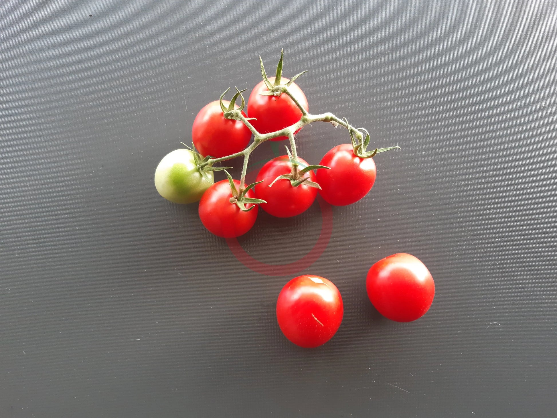 Taiwan Goddess DER TOMATENFLÜSTERER