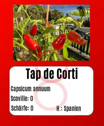 Tap de Cortí DER TOMATENFLÜSTERER