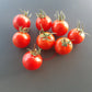 Tel Aviv Train DER TOMATENFLÜSTERER