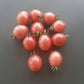 Thai Pink Egg DER TOMATENFLÜSTERER