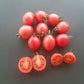 Thai Pink Egg DER TOMATENFLÜSTERER