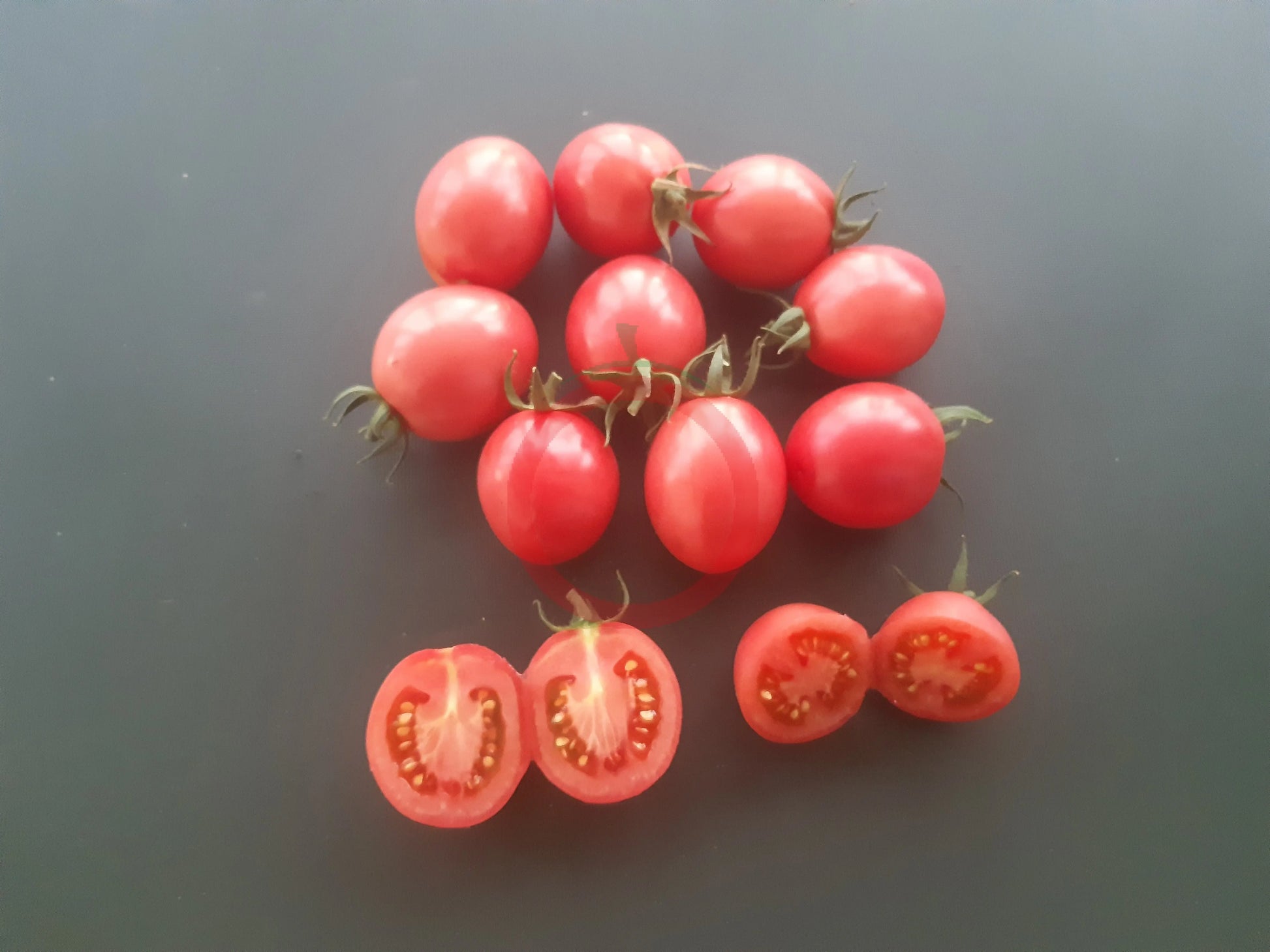 Thai Pink Egg DER TOMATENFLÜSTERER