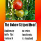 The Oxbow Striped Heart DER TOMATENFLÜSTERER