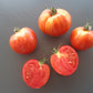 The Oxbow Striped Heart DER TOMATENFLÜSTERER