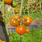 Thorburn´s Terracotta DER TOMATENFLÜSTERER