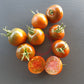 Thorburn´s Terracotta DER TOMATENFLÜSTERER