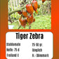 Tiger Zebra DER TOMATENFLÜSTERER