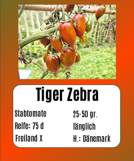 Tiger Zebra DER TOMATENFLÜSTERER