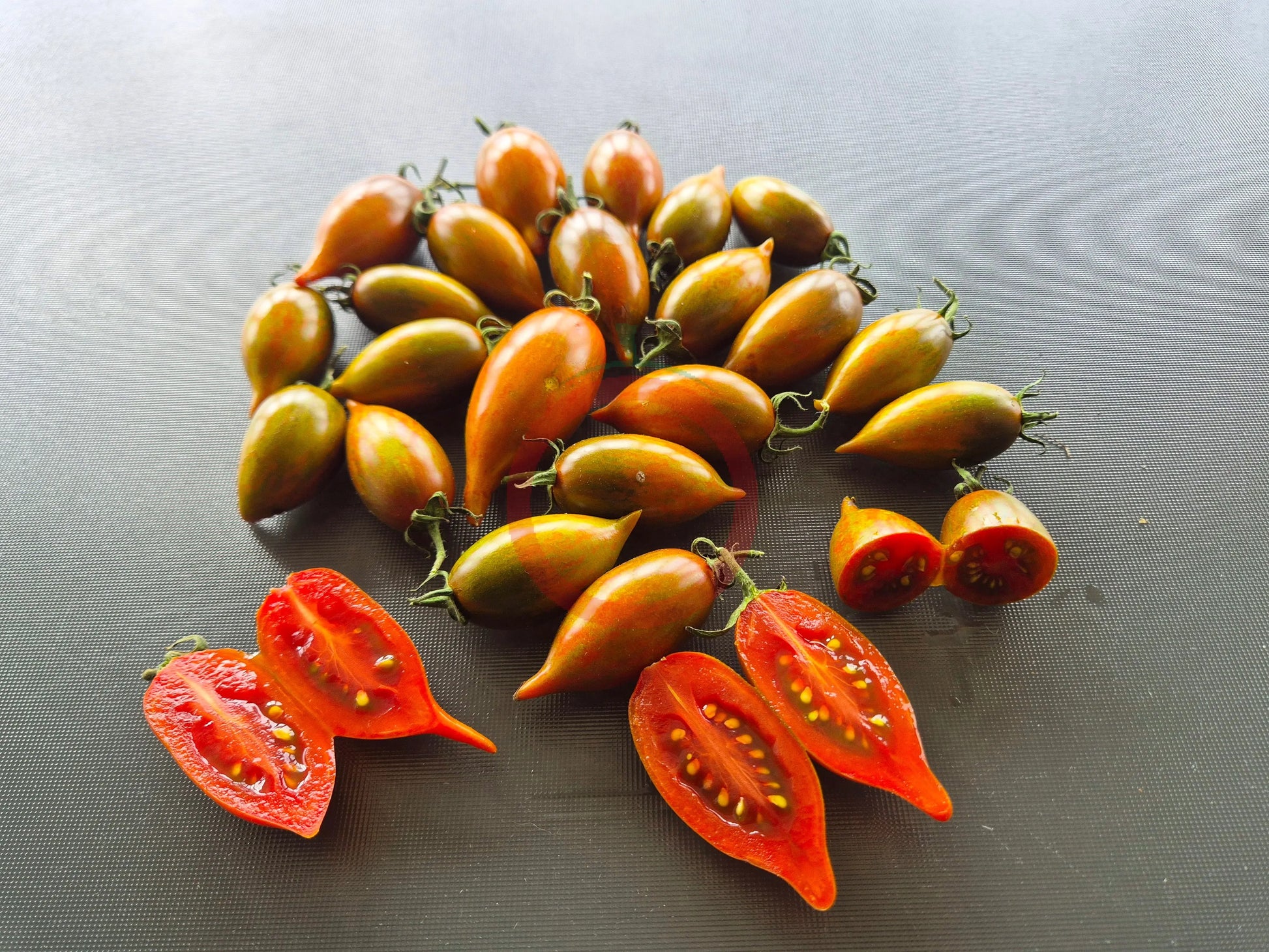 Tiger Zebra DER TOMATENFLÜSTERER