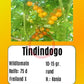 Tindindogo DER TOMATENFLÜSTERER