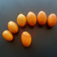 Tomate aus Ameis DER TOMATENFLÜSTERER