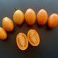 Tomate aus Ameis DER TOMATENFLÜSTERER