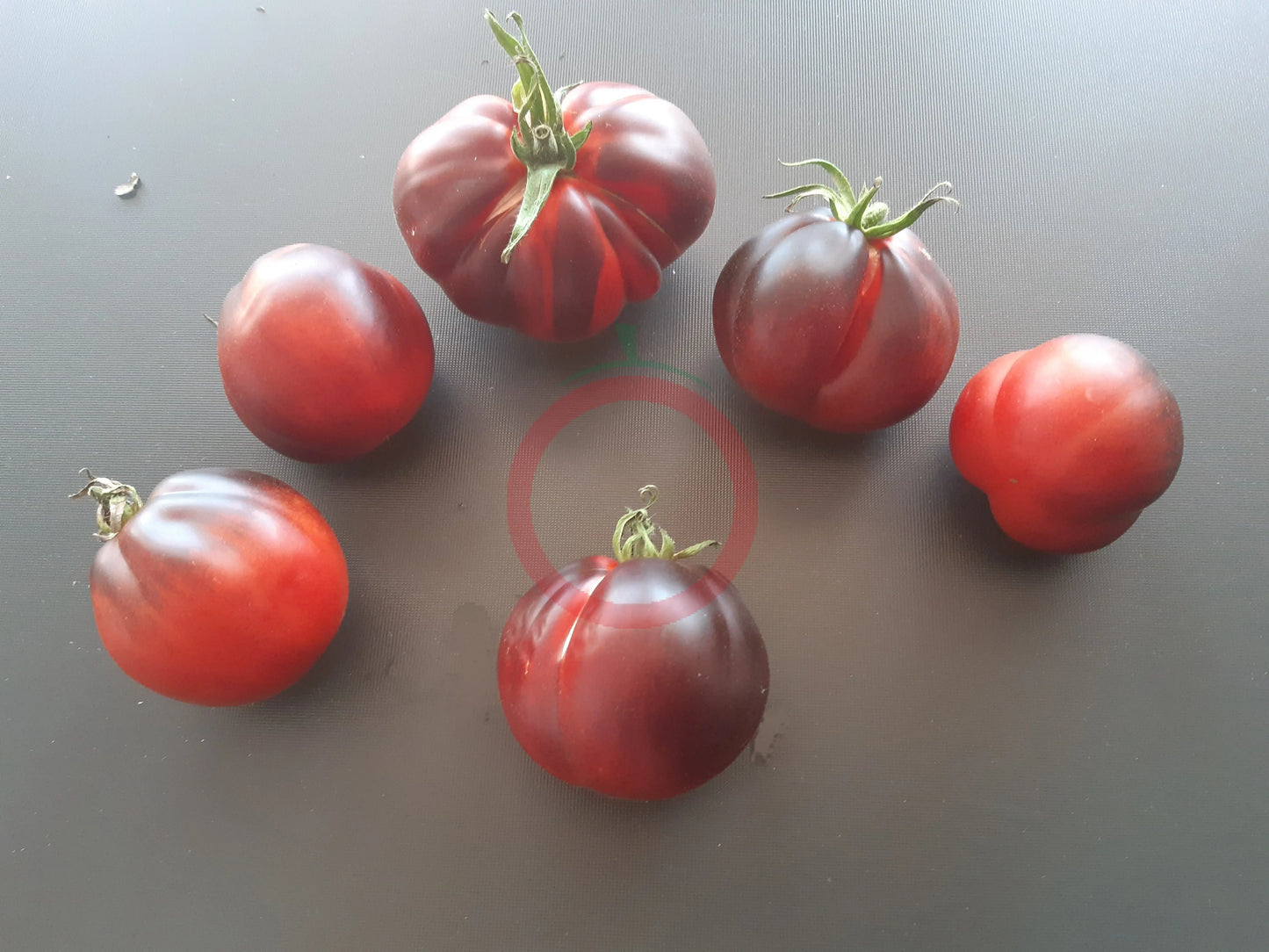 Tomnyy Lord DER TOMATENFLÜSTERER