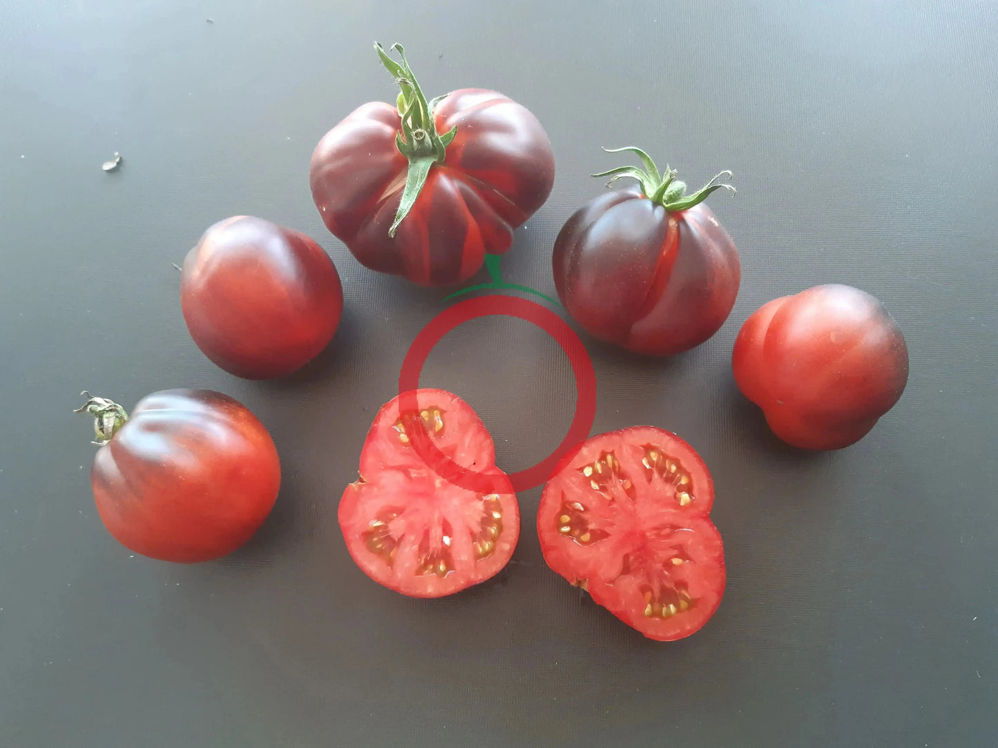 Tomnyy Lord DER TOMATENFLÜSTERER