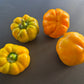 Top Boy DER TOMATENFLÜSTERER