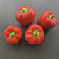 Top Girl DER TOMATENFLÜSTERER