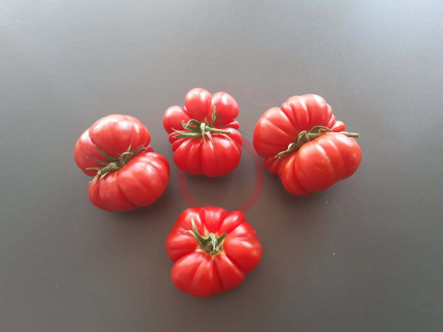 Trefle du Togo DER TOMATENFLÜSTERER