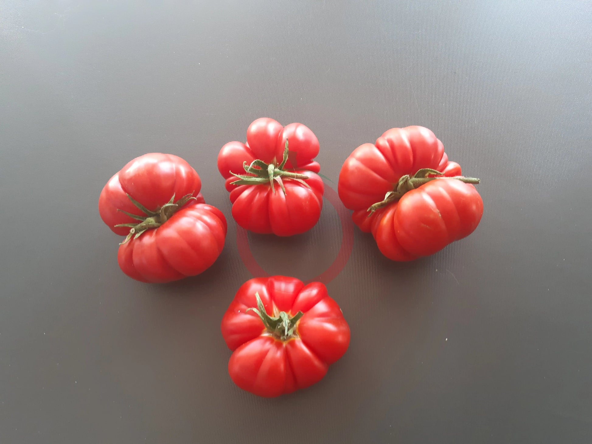 Trefle du Togo DER TOMATENFLÜSTERER