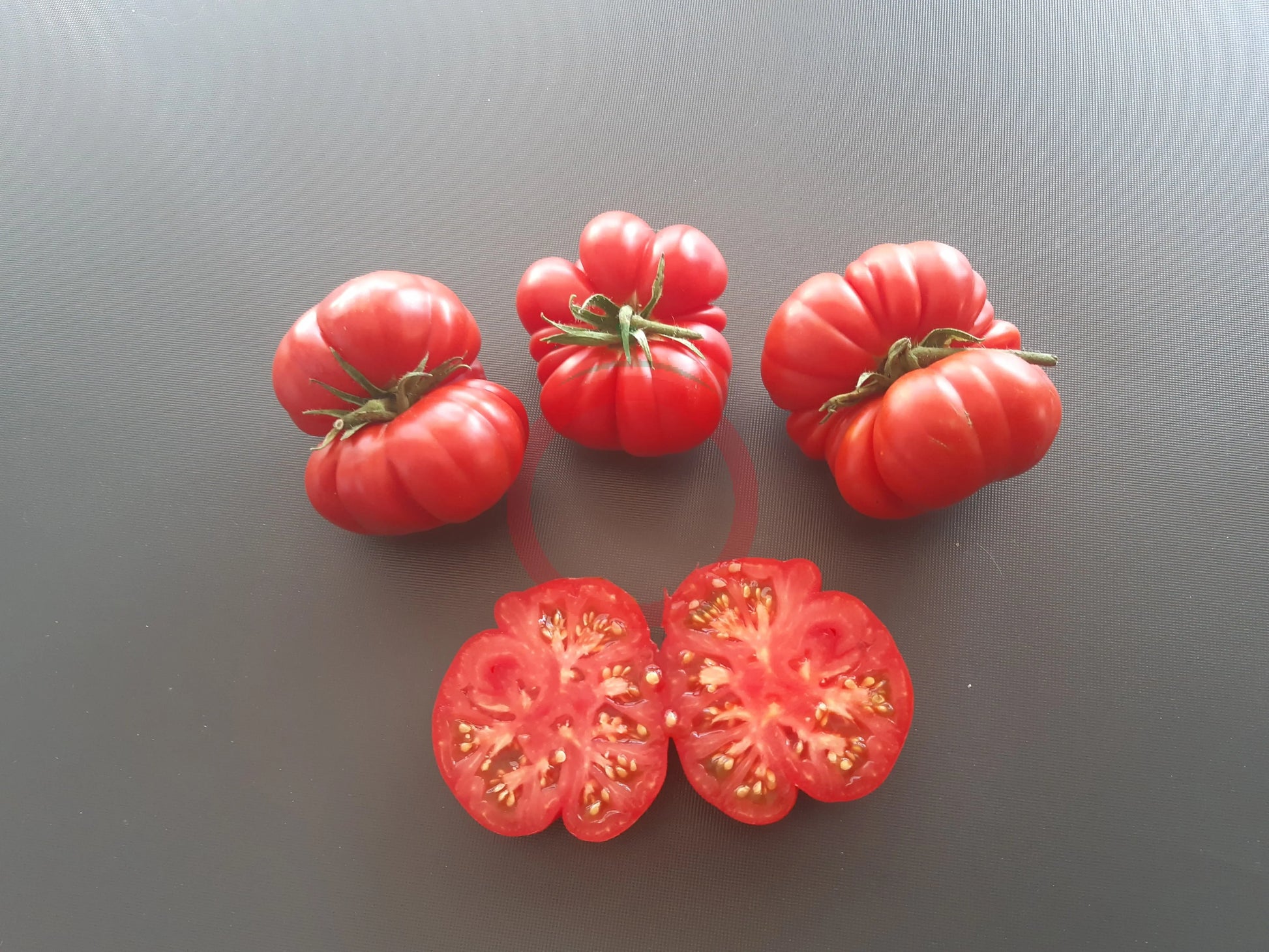 Trefle du Togo DER TOMATENFLÜSTERER