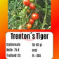Trenton´s Tiger DER TOMATENFLÜSTERER