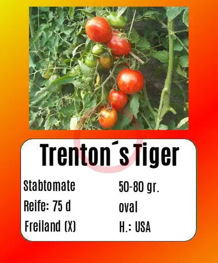 Trenton´s Tiger DER TOMATENFLÜSTERER