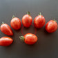 Trenton´s Tiger DER TOMATENFLÜSTERER