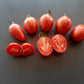 Trenton´s Tiger DER TOMATENFLÜSTERER