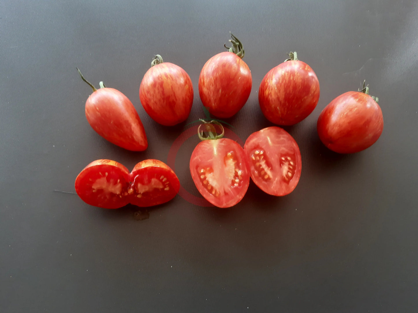 Trenton´s Tiger DER TOMATENFLÜSTERER