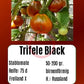 Trifele Black DER TOMATENFLÜSTERER