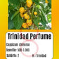 Trinidad Perfume DER TOMATENFLÜSTERER