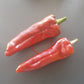 Trontarolo DER TOMATENFLÜSTERER