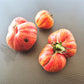 Tropikanka DER TOMATENFLÜSTERER