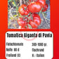 Tumatica Giganta di Pavia DER TOMATENFLÜSTERER