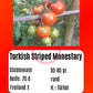 Turkish Striped Monestary DER TOMATENFLÜSTERER