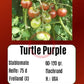 Turtle Purple DER TOMATENFLÜSTERER