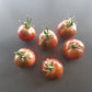 Turtle Purple DER TOMATENFLÜSTERER