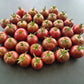 Turtle Purple DER TOMATENFLÜSTERER