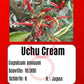 Uchu Cream DER TOMATENFLÜSTERER