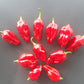 Umorok Red DER TOMATENFLÜSTERER