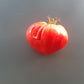 Uncle Steve's Oxheart DER TOMATENFLÜSTERER