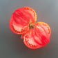 Uncle Steve's Oxheart DER TOMATENFLÜSTERER