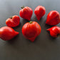 Vater Rhein DER TOMATENFLÜSTERER